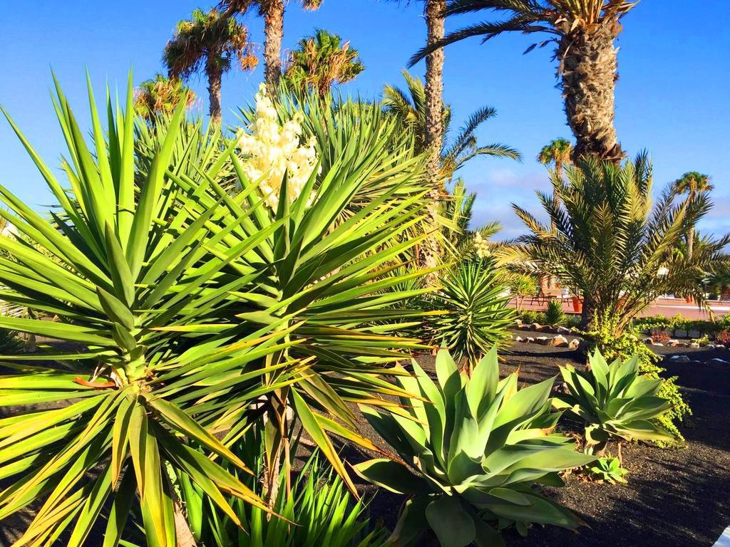 Casita Blanca, Jardin Del Sol 1 Villa Playa Blanca  Bagian luar foto